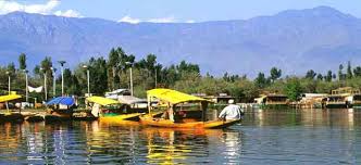Global Logistic Srinagar